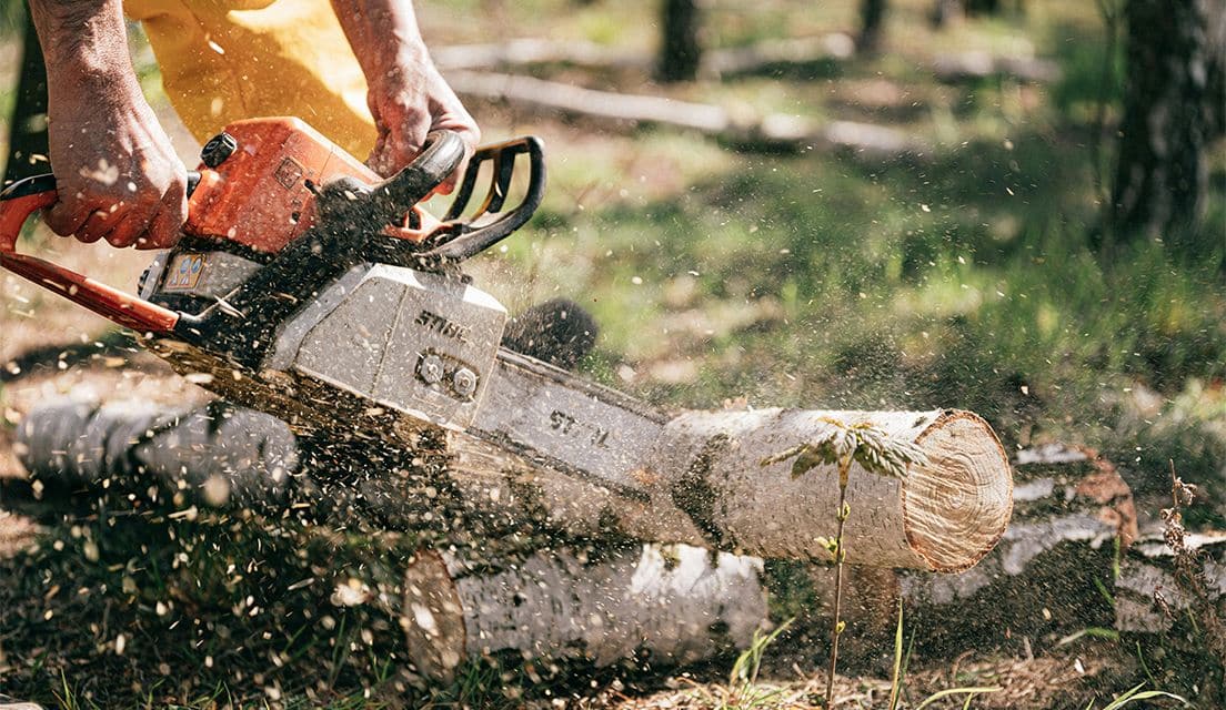 Nationwide campaign to improve safety in forestry sector